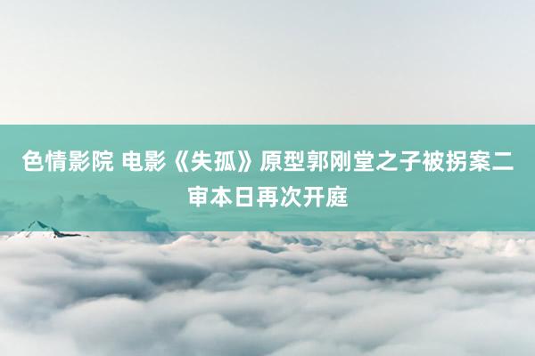 色情影院 电影《失孤》原型郭刚堂之子被拐案二审本日再次开庭