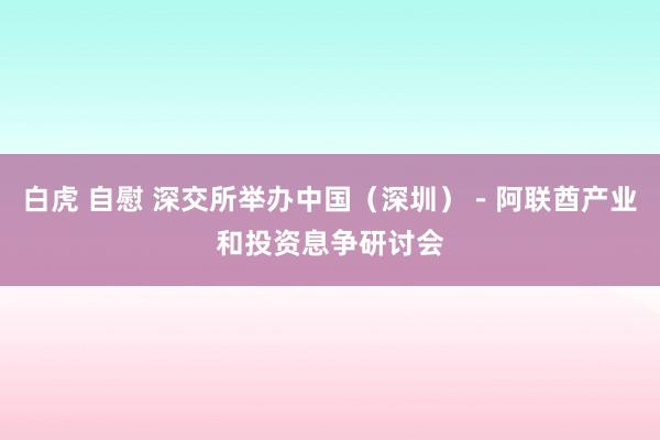 白虎 自慰 深交所举办中国（深圳）－阿联酋产业和投资息争研讨会