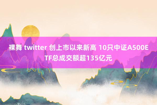 裸舞 twitter 创上市以来新高 10只中证A500ETF总成交额超135亿元