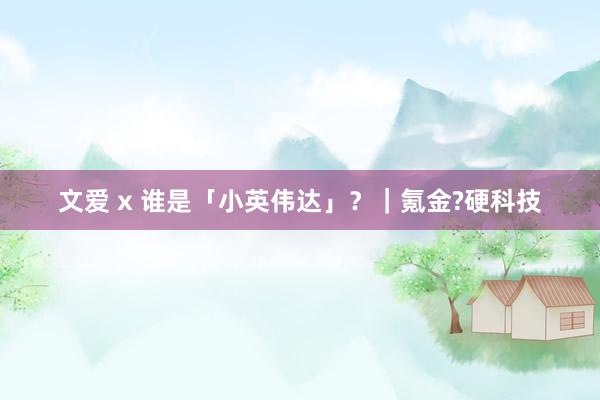 文爱 x 谁是「小英伟达」？｜氪金?硬科技