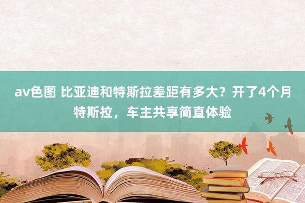 av色图 比亚迪和特斯拉差距有多大？开了4个月特斯拉，车主共享简直体验