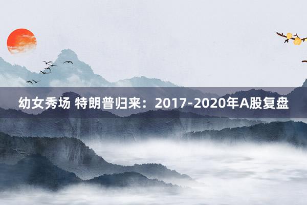 幼女秀场 特朗普归来：2017-2020年A股复盘