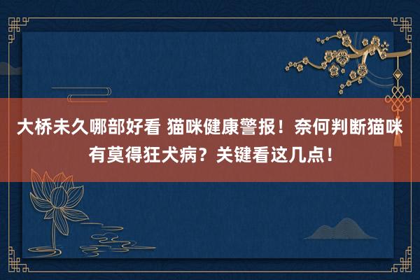 大桥未久哪部好看 猫咪健康警报！奈何判断猫咪有莫得狂犬病？关键看这几点！