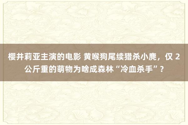 樱井莉亚主演的电影 黄喉狗尾续猎杀小麂，仅 2公斤重的萌物为啥成森林“冷血杀手”？