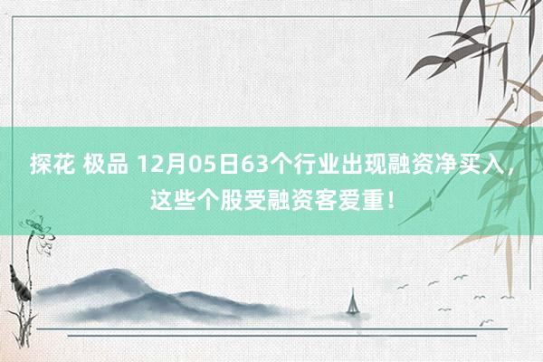 探花 极品 12月05日63个行业出现融资净买入，这些个股受融资客爱重！