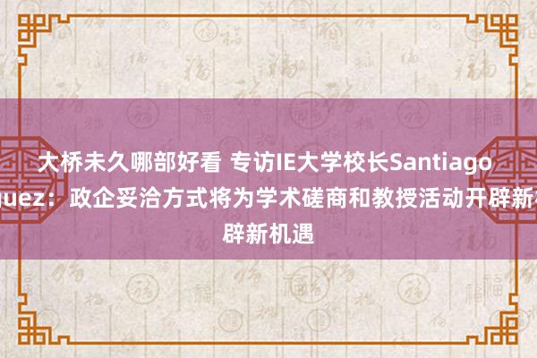 大桥未久哪部好看 专访IE大学校长Santiago Iniguez：政企妥洽方式将为学术磋商和教授活动开辟新机遇