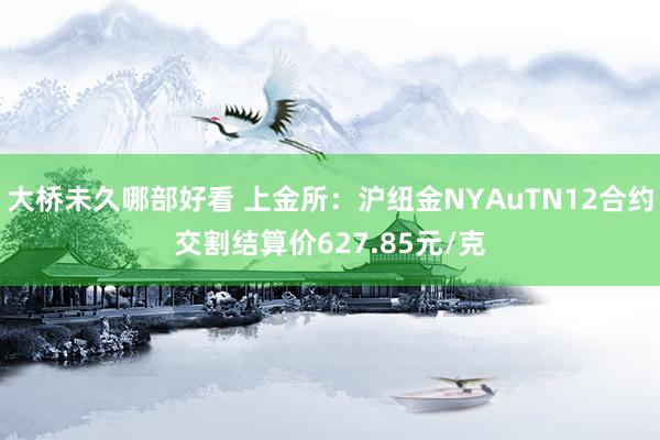 大桥未久哪部好看 上金所：沪纽金NYAuTN12合约交割结算价627.85元/克