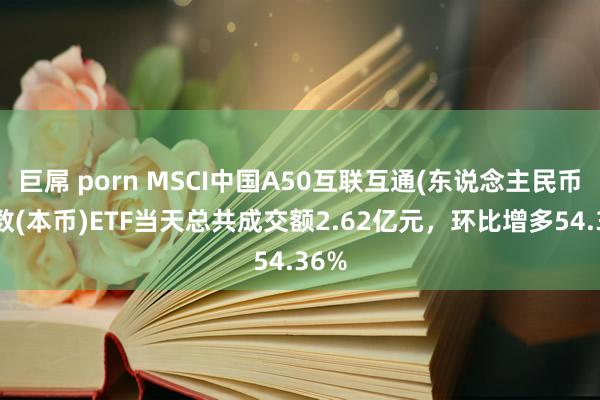 巨屌 porn MSCI中国A50互联互通(东说念主民币)指数(本币)ETF当天总共成交额2.62亿元，环比增多54.36%