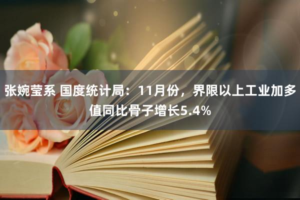 张婉莹系 国度统计局：11月份，界限以上工业加多值同比骨子增长5.4%