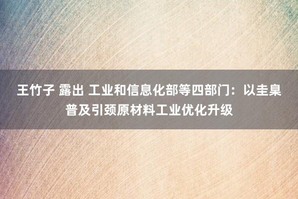 王竹子 露出 工业和信息化部等四部门：以圭臬普及引颈原材料工业优化升级