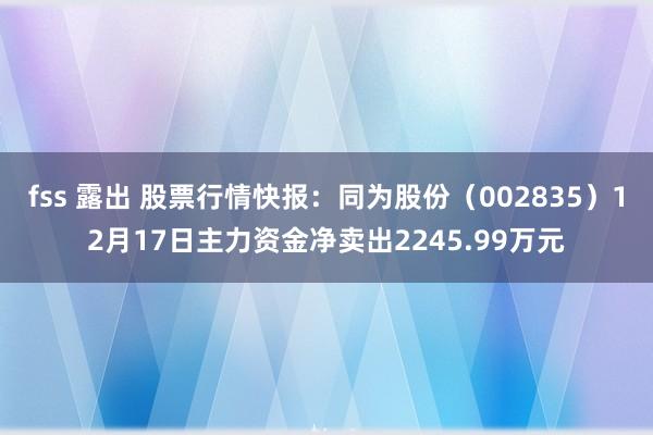 fss 露出 股票行情快报：同为股份（002835）12月17日主力资金净卖出2245.99万元