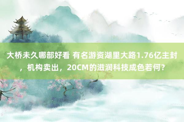 大桥未久哪部好看 有名游资湖里大路1.76亿主封，机构卖出，20CM的滋润科技成色若何？