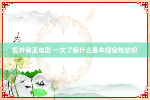 樱井莉亚电影 一文了解什么是车规级烧结银