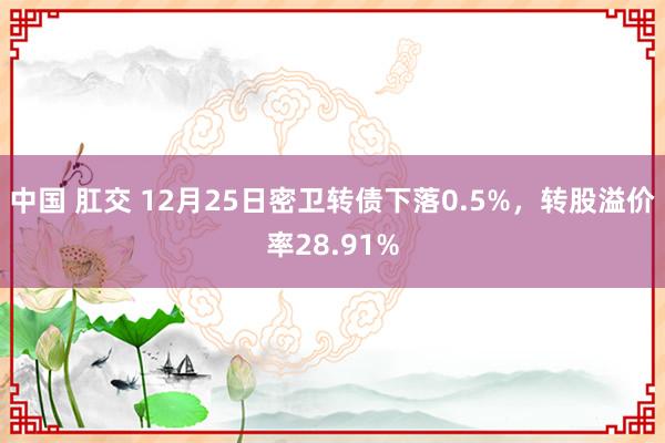 中国 肛交 12月25日密卫转债下落0.5%，转股溢价率28.91%