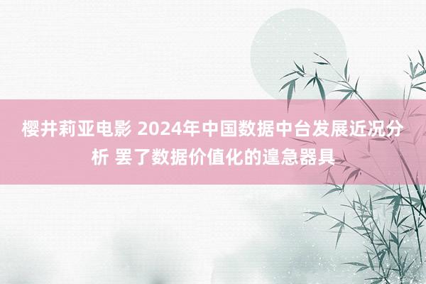 樱井莉亚电影 2024年中国数据中台发展近况分析 罢了数据价值化的遑急器具