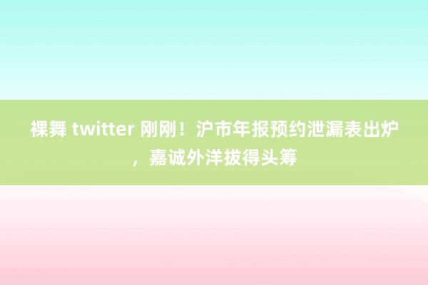 裸舞 twitter 刚刚！沪市年报预约泄漏表出炉，嘉诚外洋拔得头筹