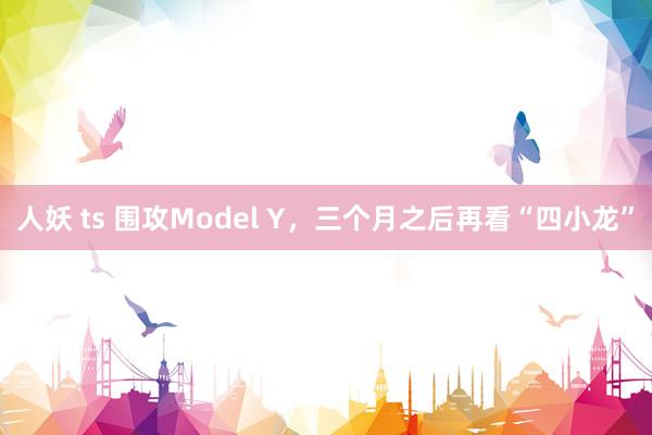 人妖 ts 围攻Model Y，三个月之后再看“四小龙”