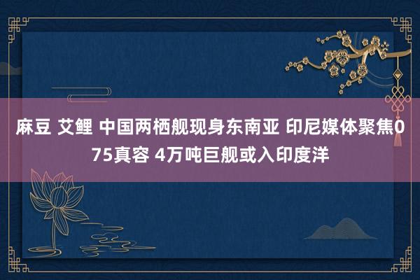 麻豆 艾鲤 中国两栖舰现身东南亚 印尼媒体聚焦075真容 4万吨巨舰或入印度洋