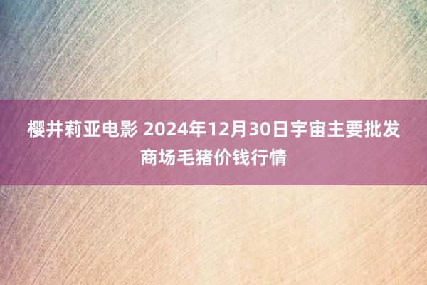 樱井莉亚电影 2024年12月30日宇宙主要批发商场毛猪价钱行情