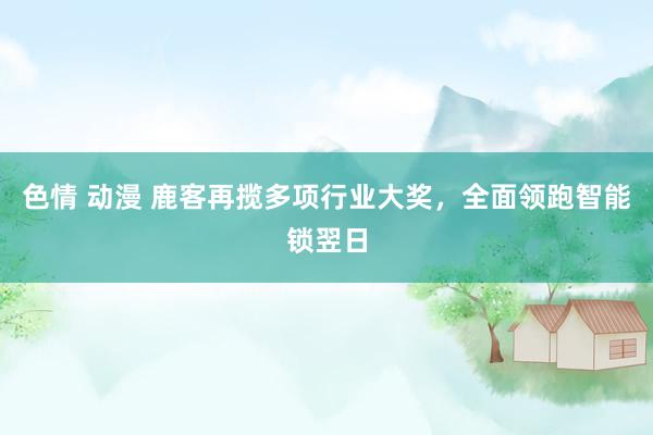 色情 动漫 鹿客再揽多项行业大奖，全面领跑智能锁翌日