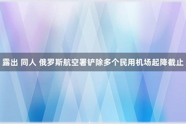 露出 同人 俄罗斯航空署铲除多个民用机场起降截止