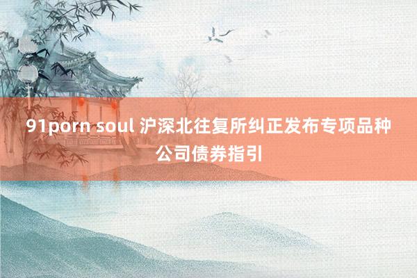 91porn soul 沪深北往复所纠正发布专项品种公司债券指引