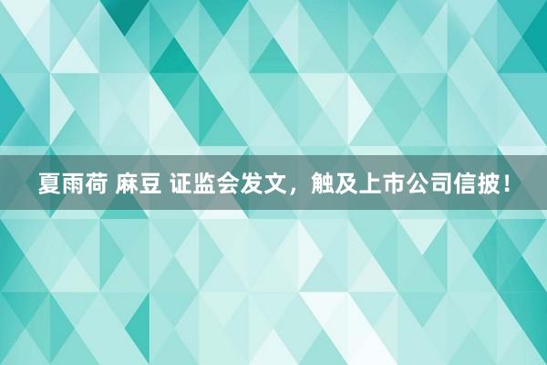 夏雨荷 麻豆 证监会发文，触及上市公司信披！