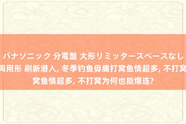 パナソニック 分電盤 大形リミッタースペースなし 露出・半埋込両用形 刷新潜入， 冬季钓鱼毋庸打窝鱼情超多， 不打窝为何也能爆连?