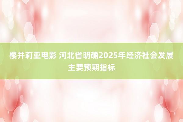 樱井莉亚电影 河北省明确2025年经济社会发展主要预期指标