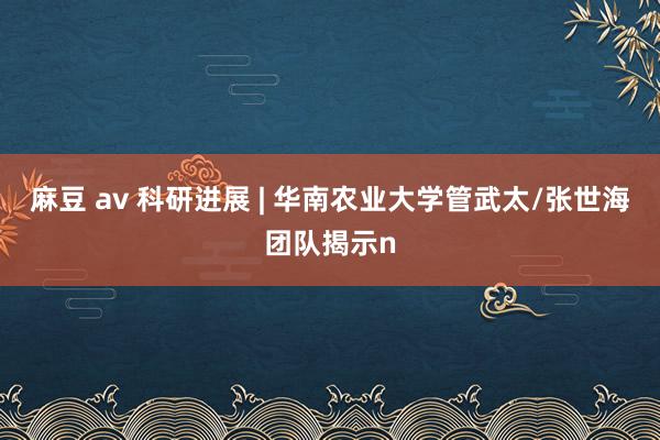 麻豆 av 科研进展 | 华南农业大学管武太/张世海团队揭示n