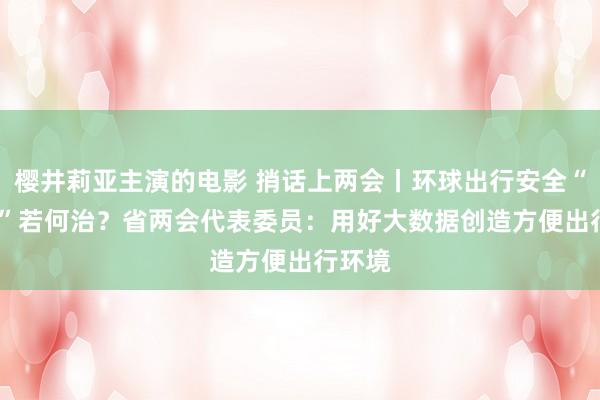 樱井莉亚主演的电影 捎话上两会丨环球出行安全“bugs”若何治？省两会代表委员：用好大数据创造方便出行环境