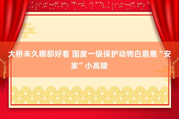 大桥未久哪部好看 国度一级保护动物白唇鹿“安家”小高陵