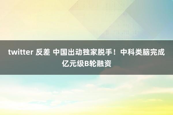 twitter 反差 中国出动独家脱手！中科类脑完成亿元级B轮融资